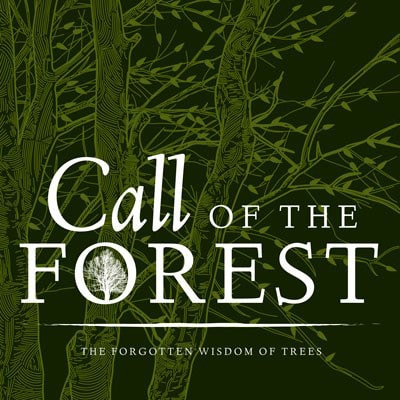 Call of the Forest: The Forgotten Wisdom of Trees – Movie Review